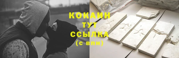 дживик Алексин