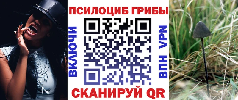 Галлюциногенные грибы GOLDEN TEACHER  Уварово 